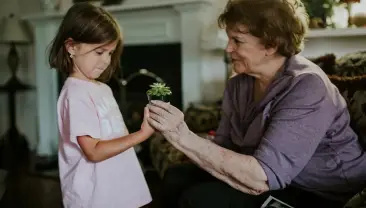 universal-life-insurance